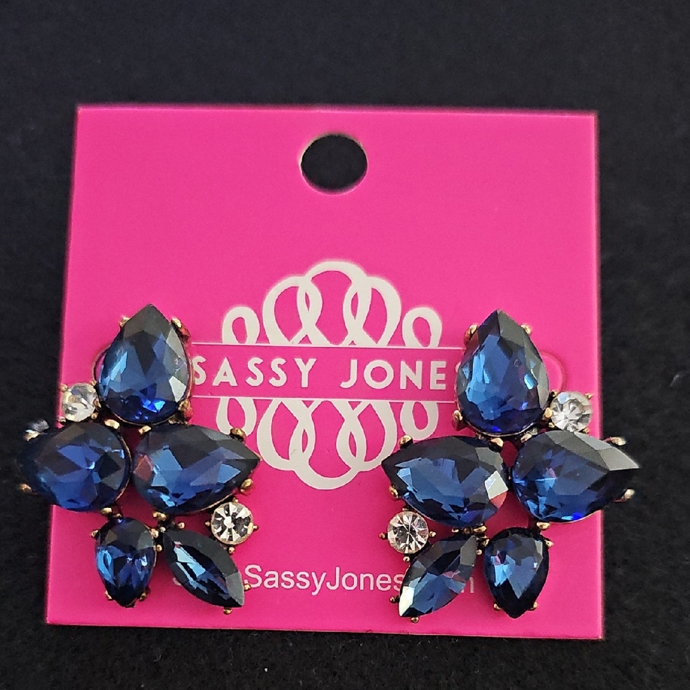 Sassy Jones Midnight Blue and Silver Earrings